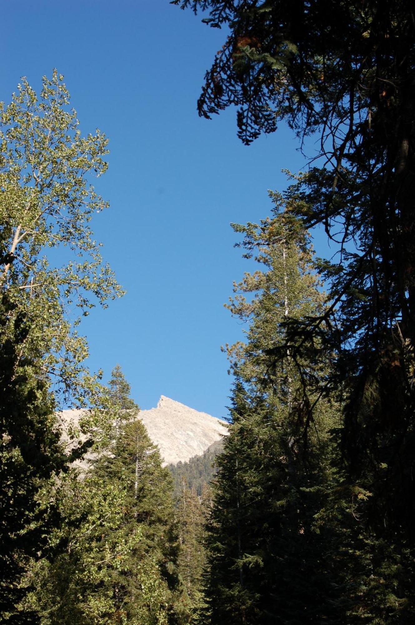 Silver City Mountain Resort Three Rivers Bagian luar foto